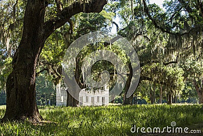 South Carolina lowcountry Stock Photo